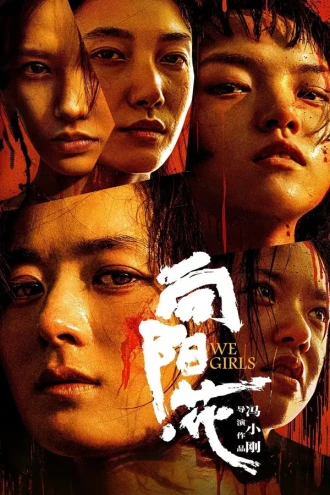 向阳·花